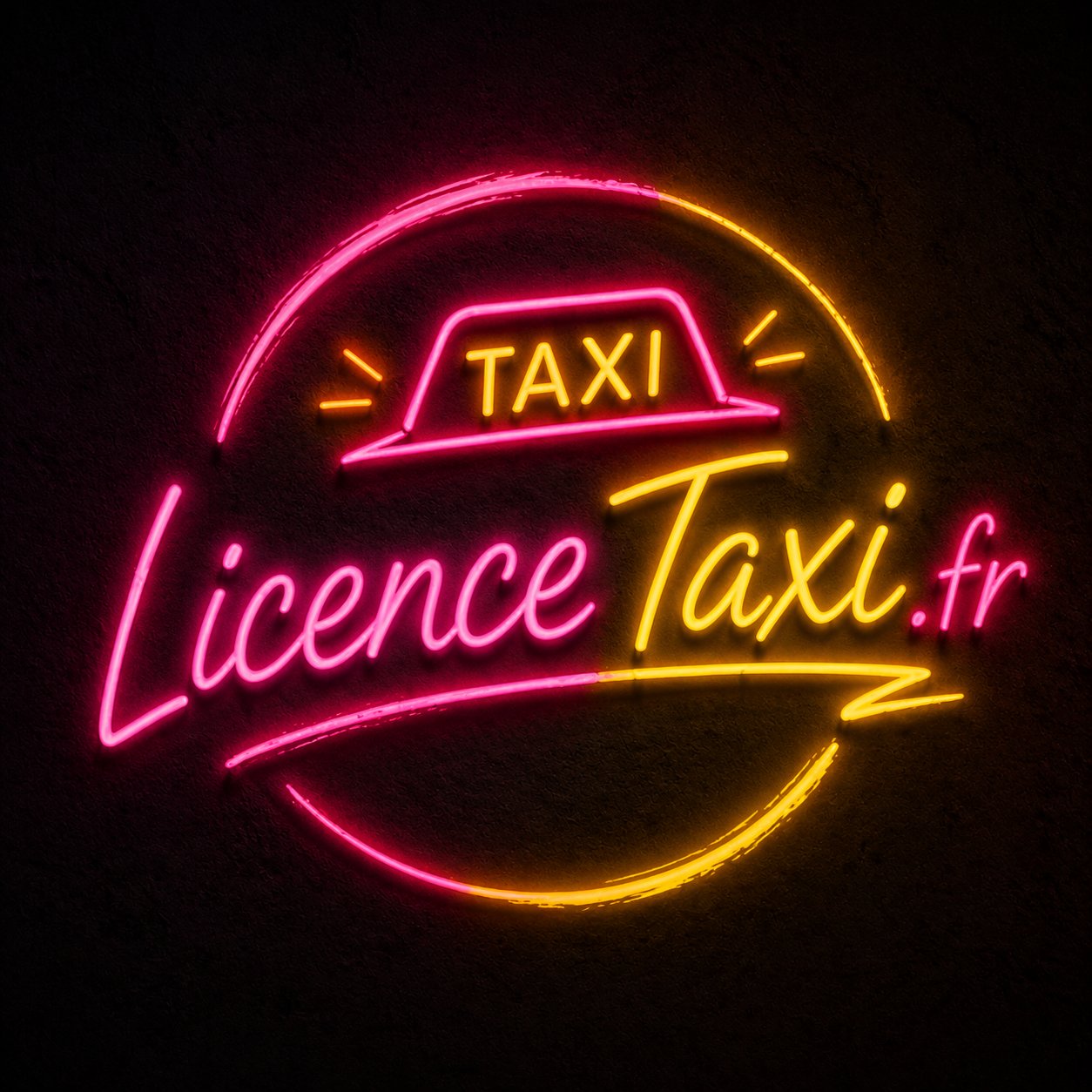 LicenceTaxi.fr