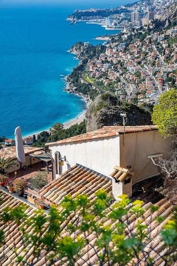 Vends Licence Taxi Alpes-Maritimes Porte Monaco